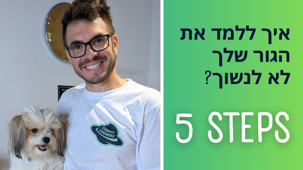 איך ללמד את הגור שלך לא לנשוך בחמישה שלבים?