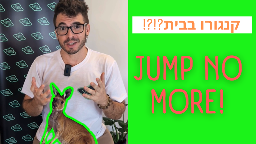 איך לגרום לגור שלך להפסיק לקפוץ על אנשים