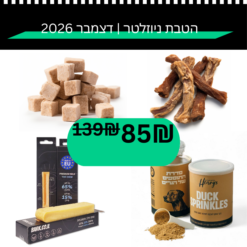 הטבת ניוזלטר | דצמבר 2026