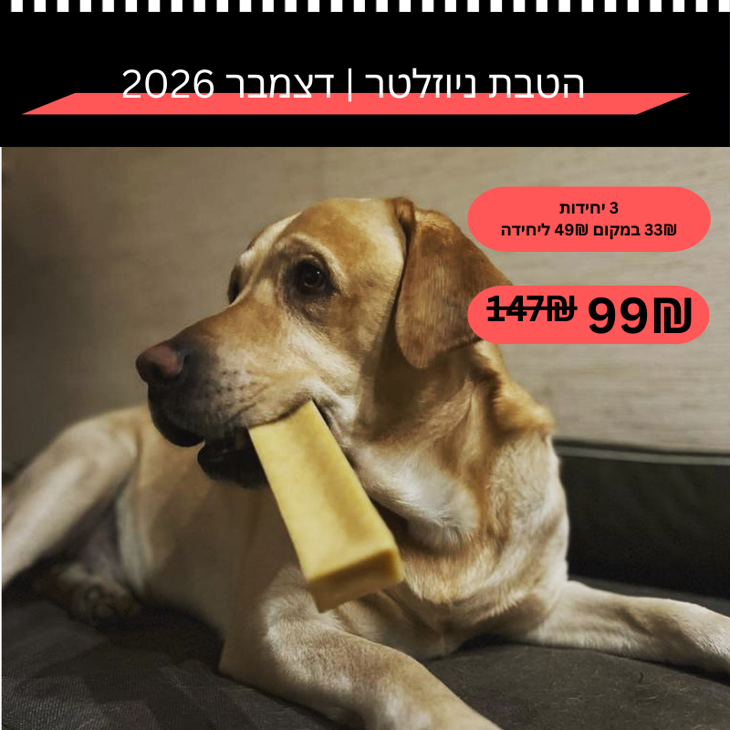 הטבת ניוזלטר #2 | דצמבר 2026