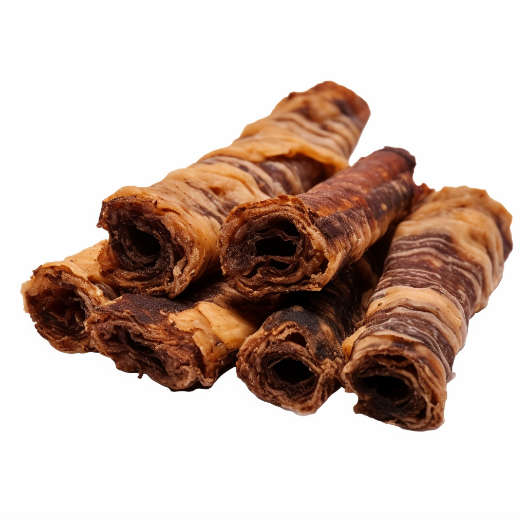 הטבת ניוזלטר | דצמבר 2026