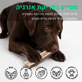 קרן אייל חצוייה - L