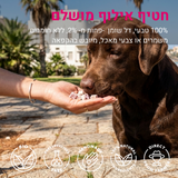 קוביות יוגורט עם אוכמניות