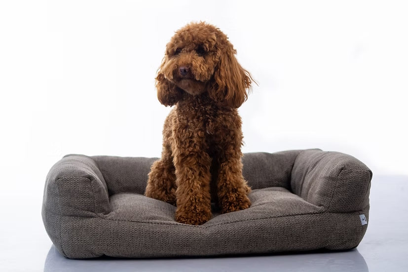 מיטה מעוצבת |  Maika | AMARO