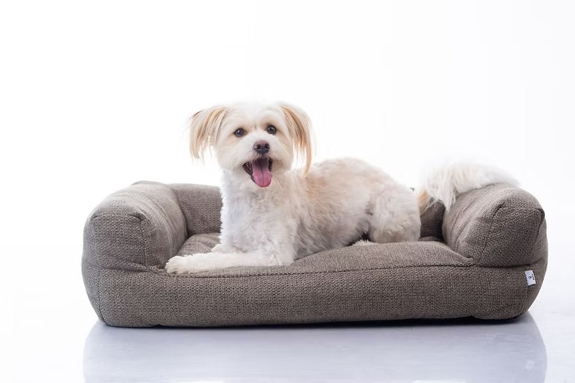 מיטה מעוצבת |  Maika | AMARO