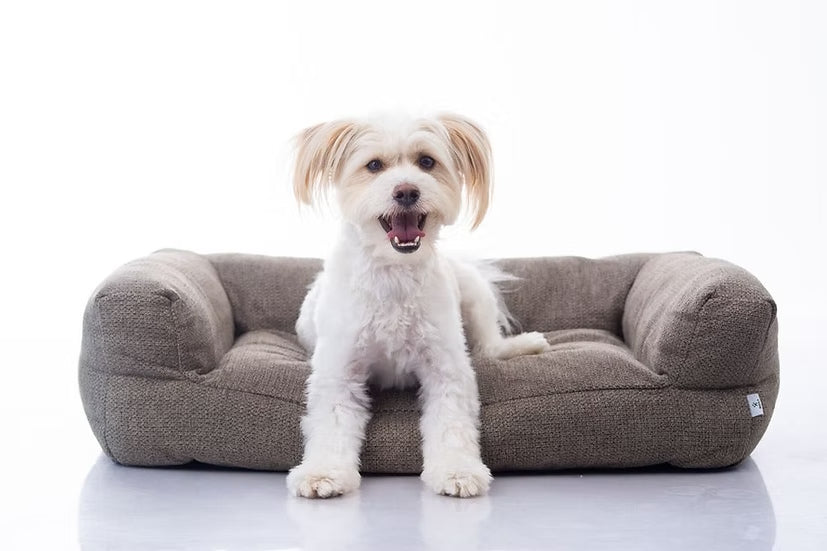 מיטה מעוצבת |  Maika | AMARO