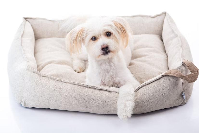 מיטה מעוצבת |  Maika | AMY