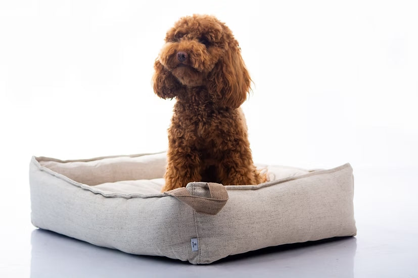 מיטה מעוצבת |  Maika | AMY