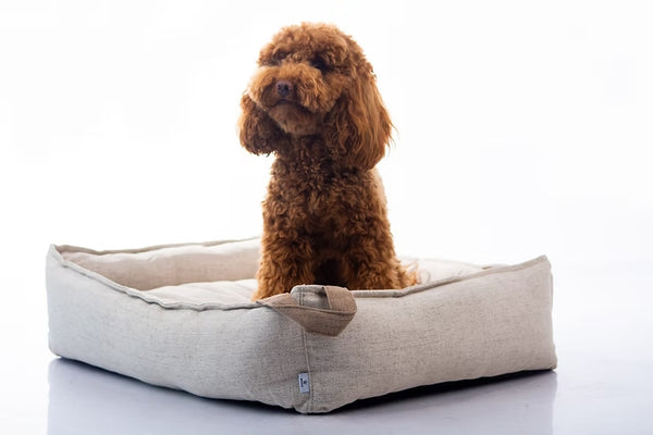 מיטה מעוצבת |  Maika | AMY