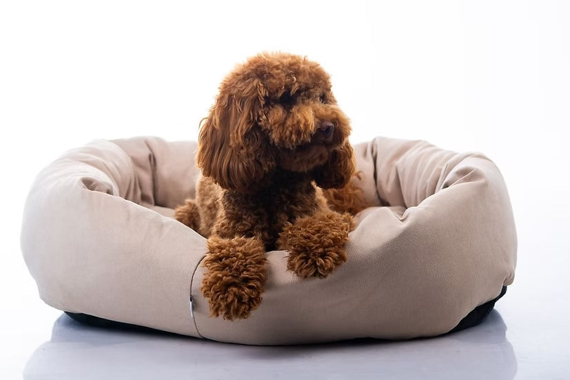 מיטה מעוצבת |  Maika | ARIA