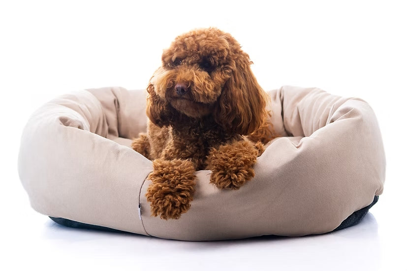 מיטה מעוצבת |  Maika | ARIA