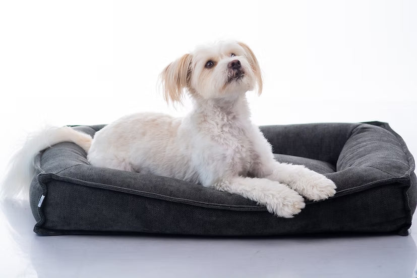 מיטה מעוצבת |  Maika | LUNA