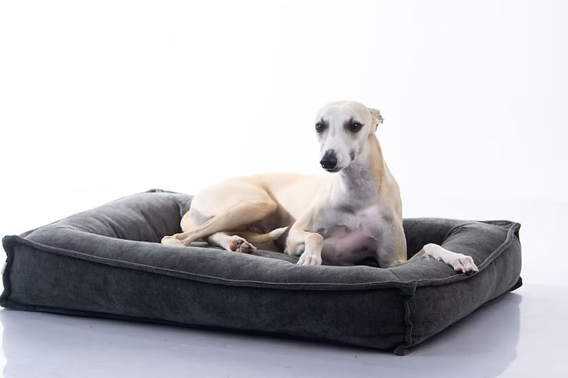 מיטה מעוצבת |  Maika | LUNA