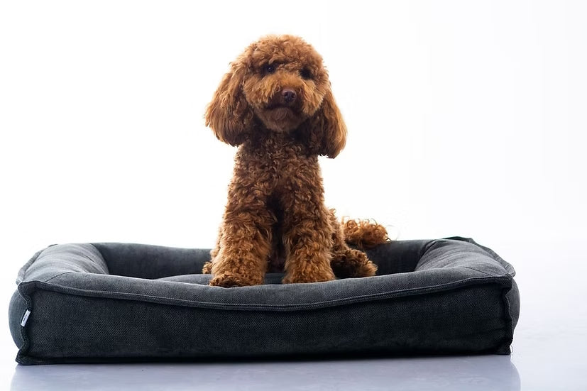 מיטה מעוצבת |  Maika | LUNA