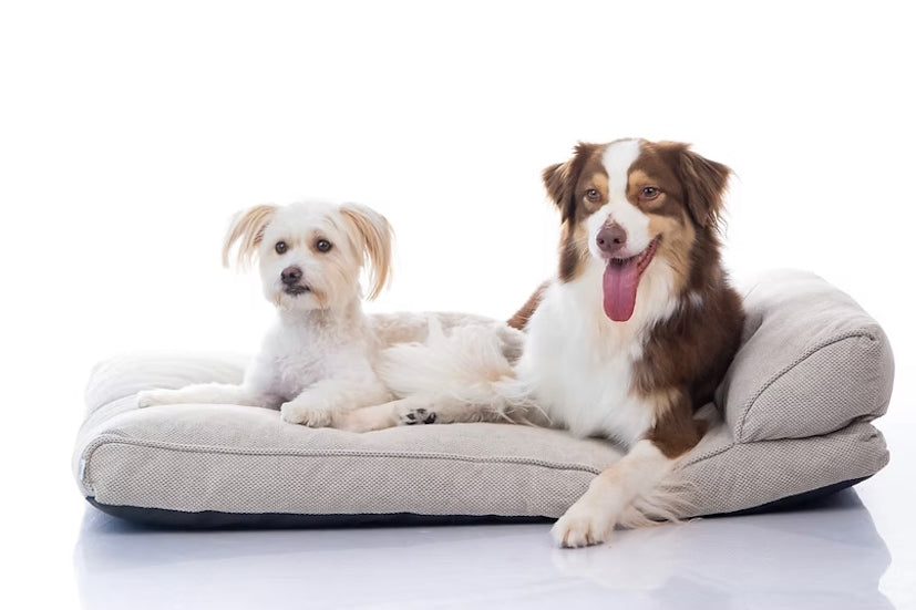 מיטה מעוצבת |  Maika | NOIR