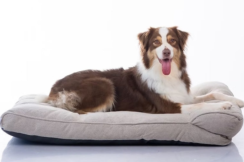 מיטה מעוצבת |  Maika | NOIR