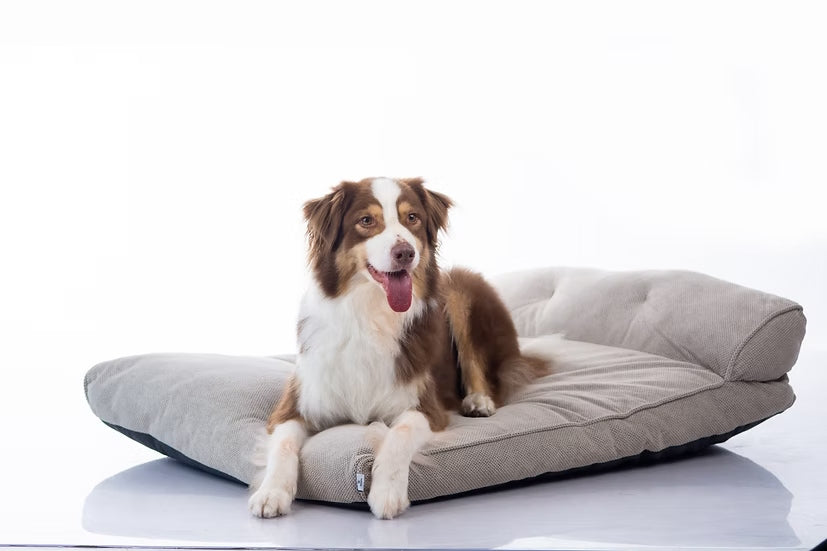 מיטה מעוצבת |  Maika | NOIR