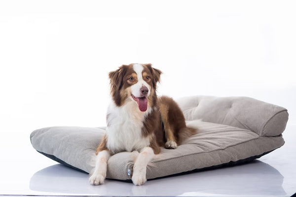 מיטה מעוצבת |  Maika | NOIR