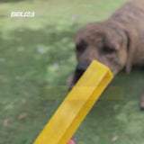 עצם יאק - כורכומין